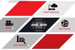 AMD udostępnia zestaw deweloperski dla 64-bitowych Opteronów ARM